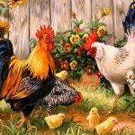 pintura-do-galo