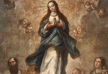 Nossa Senhora Imaculada Conceição, sem pecado!