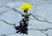 Catequese e espiritualidade Como enfrentar as provações?