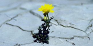 Catequese e espiritualidade Como enfrentar as provações?