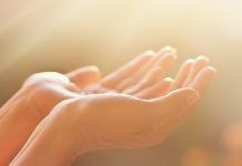 Catequese e formação católica Jesus se transfigurou: seu rosto brilhou como o sol