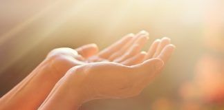 Catequese e formação católica Jesus se transfigurou: seu rosto brilhou como o sol