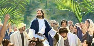 Catequese e formação - Ramos nas mãos