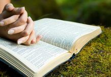 Você sabe qual é o valor da Palavra de Deus para a Igreja?