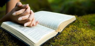 Você sabe qual é o valor da Palavra de Deus para a Igreja?