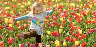 Nesta primavera, abra-se ao amor e seu jardim florirá
