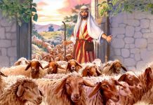 Cristo, Bom Pastor!
