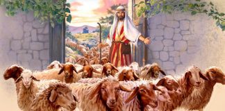 Cristo, Bom Pastor!