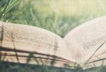 Explore o dom de Deus que há em você!