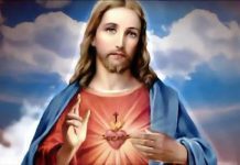 Descubra o profundo amor do Sagrado Coração de Jesus Cristo por nós e Sua presença no Santíssimo Sacramento, alimento para nossas almas.