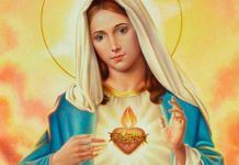 O Coração de Maria nos aponta para testemunhar o Cristo!