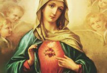 Sagrado Coração de Maria