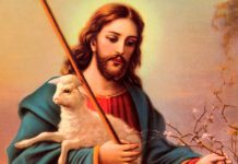 Solicitude pelas “ovelhas sem pastor!”