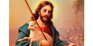 Solicitude pelas “ovelhas sem pastor!”
