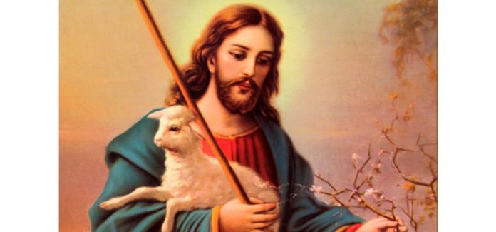 jesus bom pastor Solicitude pelas “ovelhas sem pastor!”