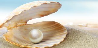 A ostra