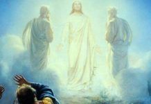 Transfigurados, com Cristo, na justiça e na fraternidade!