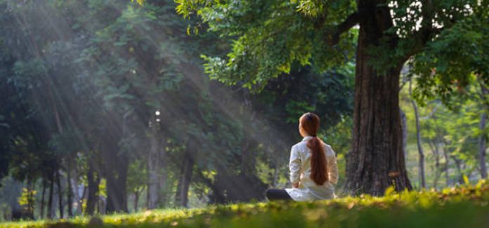 silencio de Deus O Silêncio de Deus: Como Encontrá-Lo em Meio as dificuldades