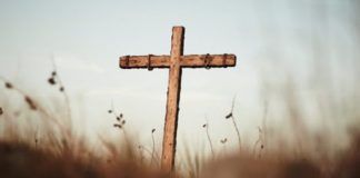 Humildade, gratuidade e amor para melhor servir ao Evangelho!