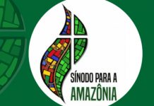 sinodo da amazônia