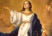 nossa senhora Imaculada Conceição