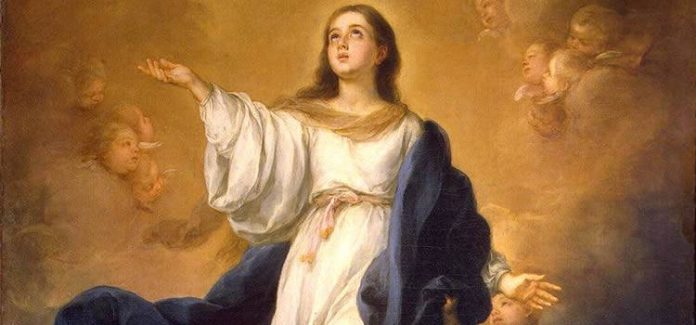 nossa senhora Imaculada Conceição