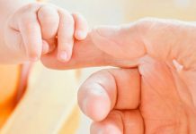 colocar sua vida em Minhas mãos.