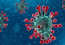 corona virus o mundo em alerta da epidemia