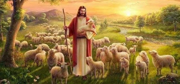 Bom Pastor Jesus e o rebanho BOm Pastor Jesus com seu rebanho