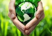 cuidar da natureza nossa casa comum
