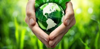 cuidar da natureza nossa casa comum
