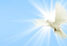 O Dia Mundial da Paz e a cultura do cuidado