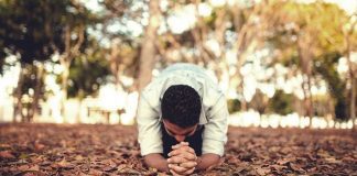 Peçamos a Deus o dom da obediência a Sua voz