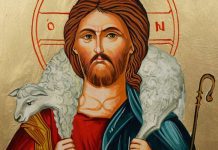 O bom pastor dá a vida por suas ovelhas