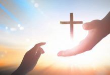 Quem faz a vontade de Deus, esse é meu irmão