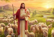 “(...) porque eram como ovelhas sem pastor” (cf. Mc 6,34b)