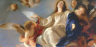 A Assunção de Nossa Senhora: O Sim de Maria e Sua Missão