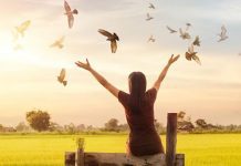 liberdade ser livre em Deus