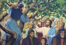 zaqueu encontra com Jesus