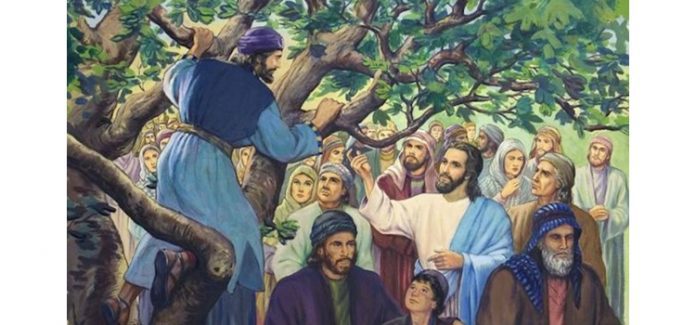 zaqueu zaqueu encontra com Jesus