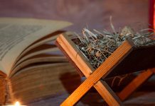 advento tempo de preparar o coração para vinda de Jesus