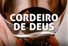 Jesus é o cordeiro de Deus que tira o pecado do mundo