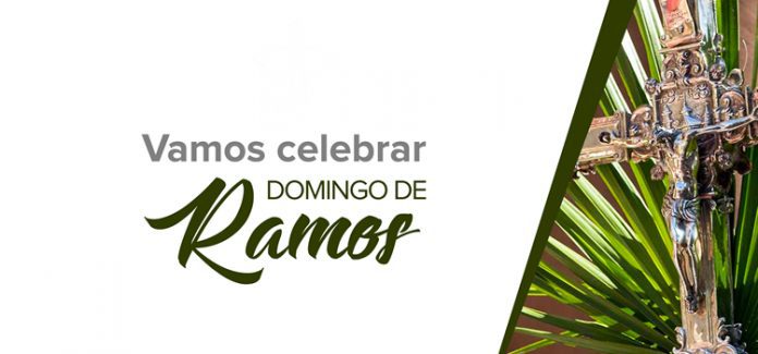o domingo de ramos Que neste Domingo de Ramos possamos renovar nossa fé e nossa devoção a Jesus Cristo