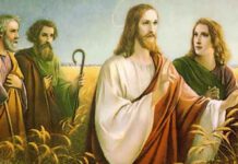o joio e o trigo, anunciar o reino de Deus