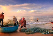 domingo do mar, pescadores puxando a rede com peixes