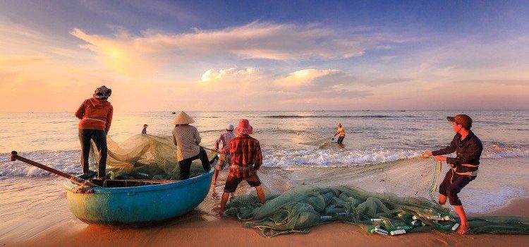 domingo do mar, pescadores puxando a rede com peixes