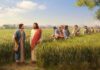A parábola do trigo e do joio, Jesus caminha com os discípulos