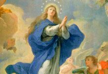 assunção de nossa senhora