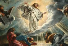 transfiguração do Senhor