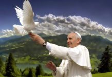 “Laudate Deum”: a voz do Papa Francisco para o mundo